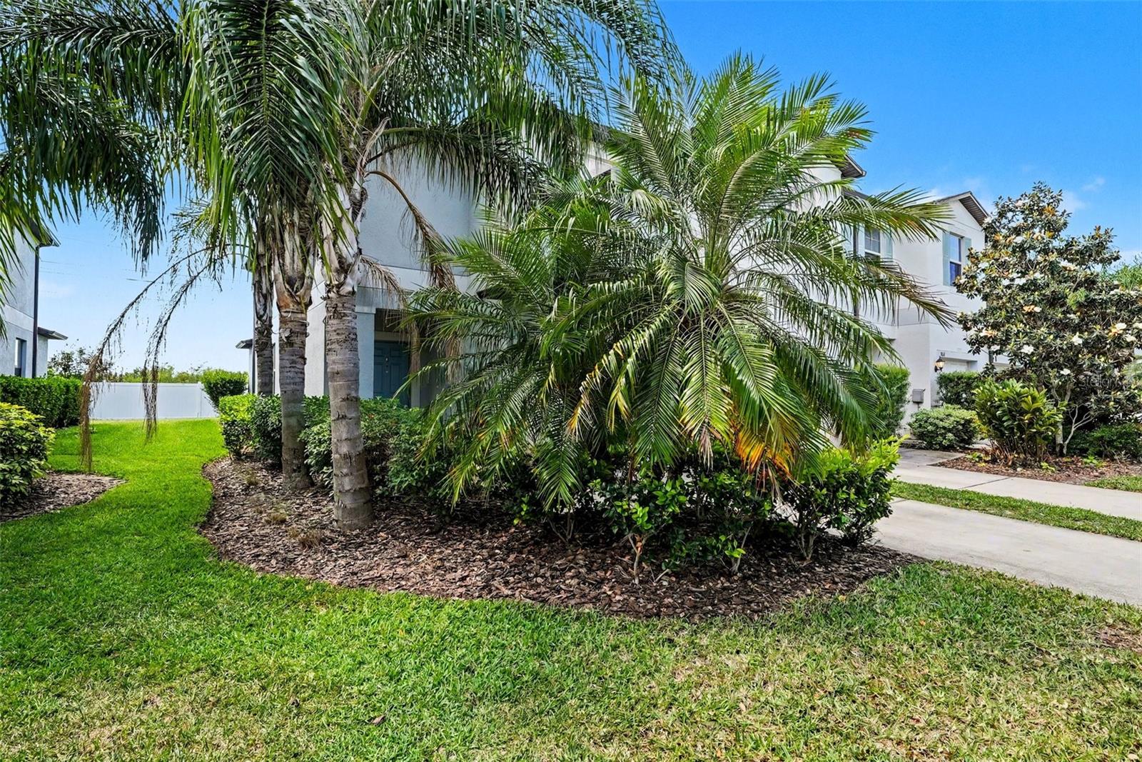 Home in TAMPA — photo 8