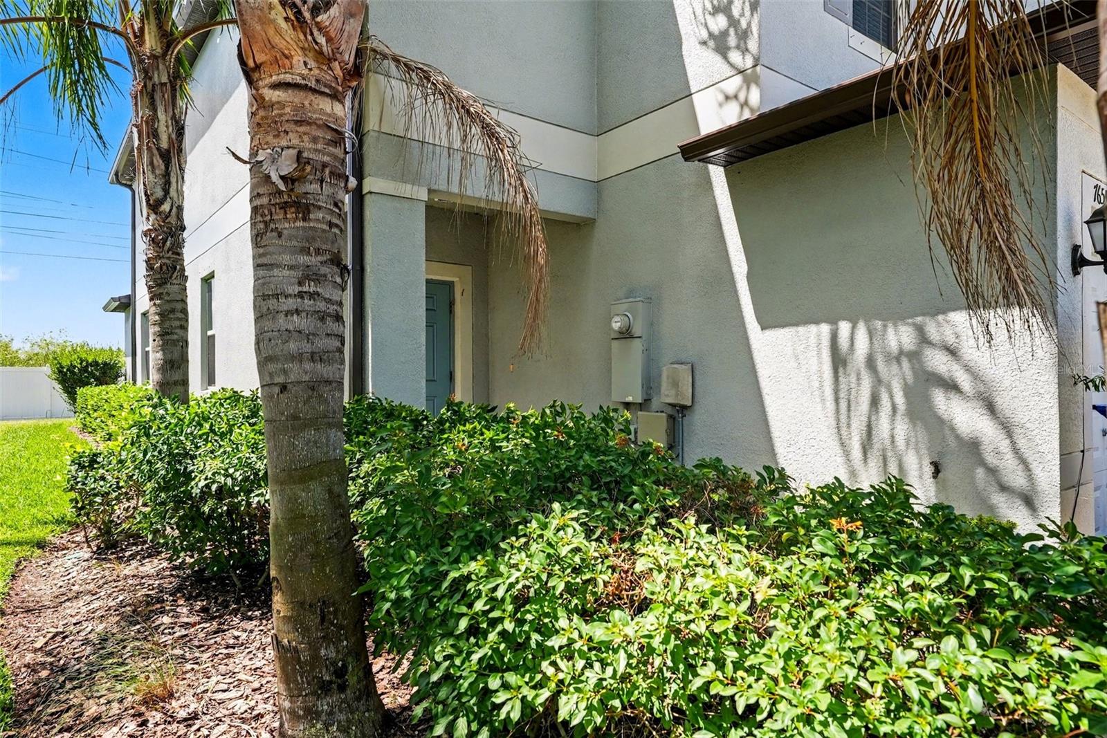 Home in TAMPA — photo 7