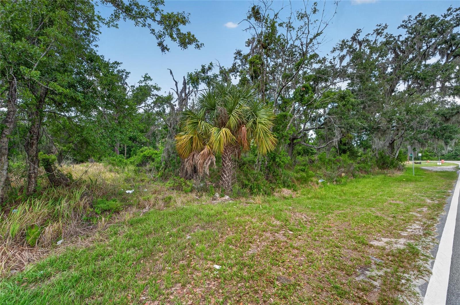 2819 SAFFOLD RD — photo 13