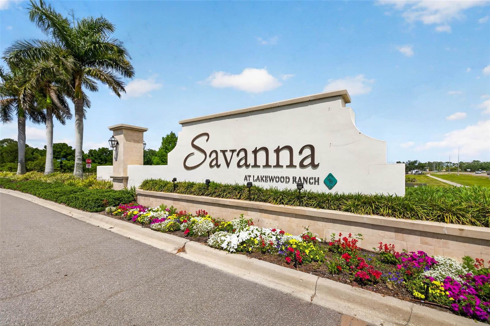 3709 SAVANNA PALMS CT — photo 49