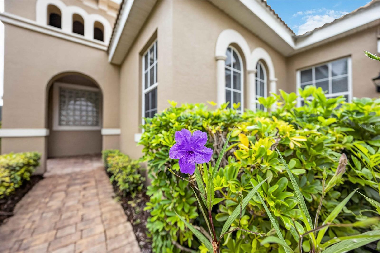 170 CIPRIANI WAY — photo 3