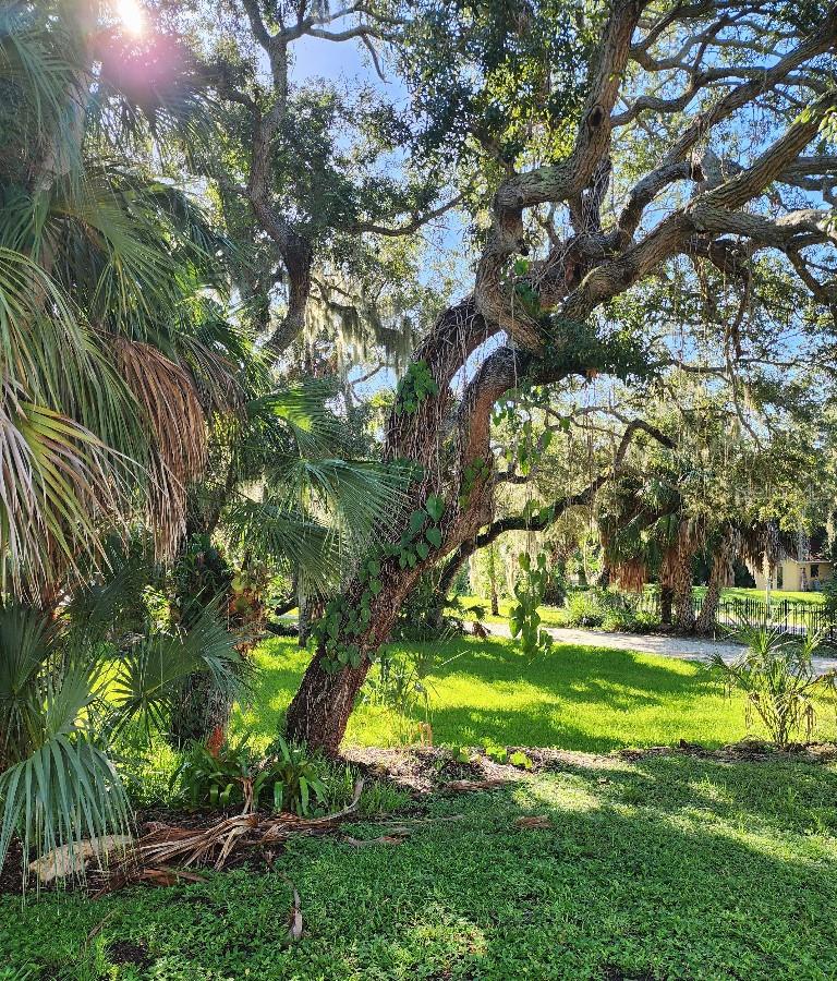 6511 BAYSHORE RD — photo 45