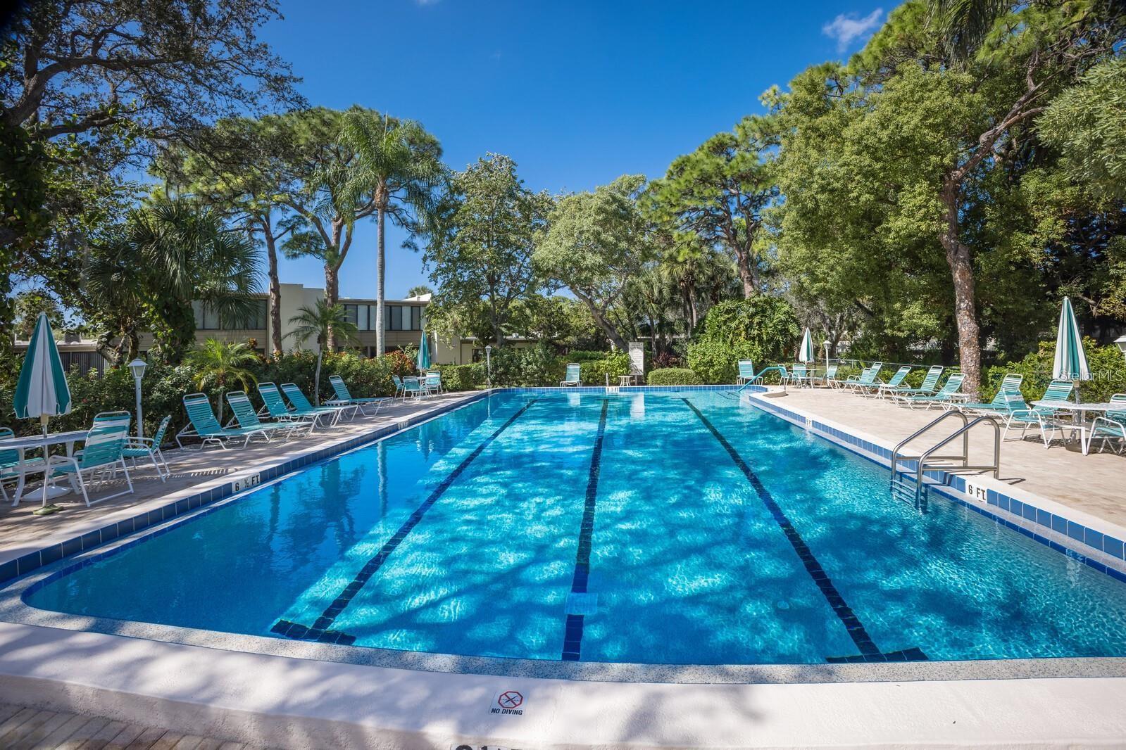 135 WILD PALM DR — photo 36
