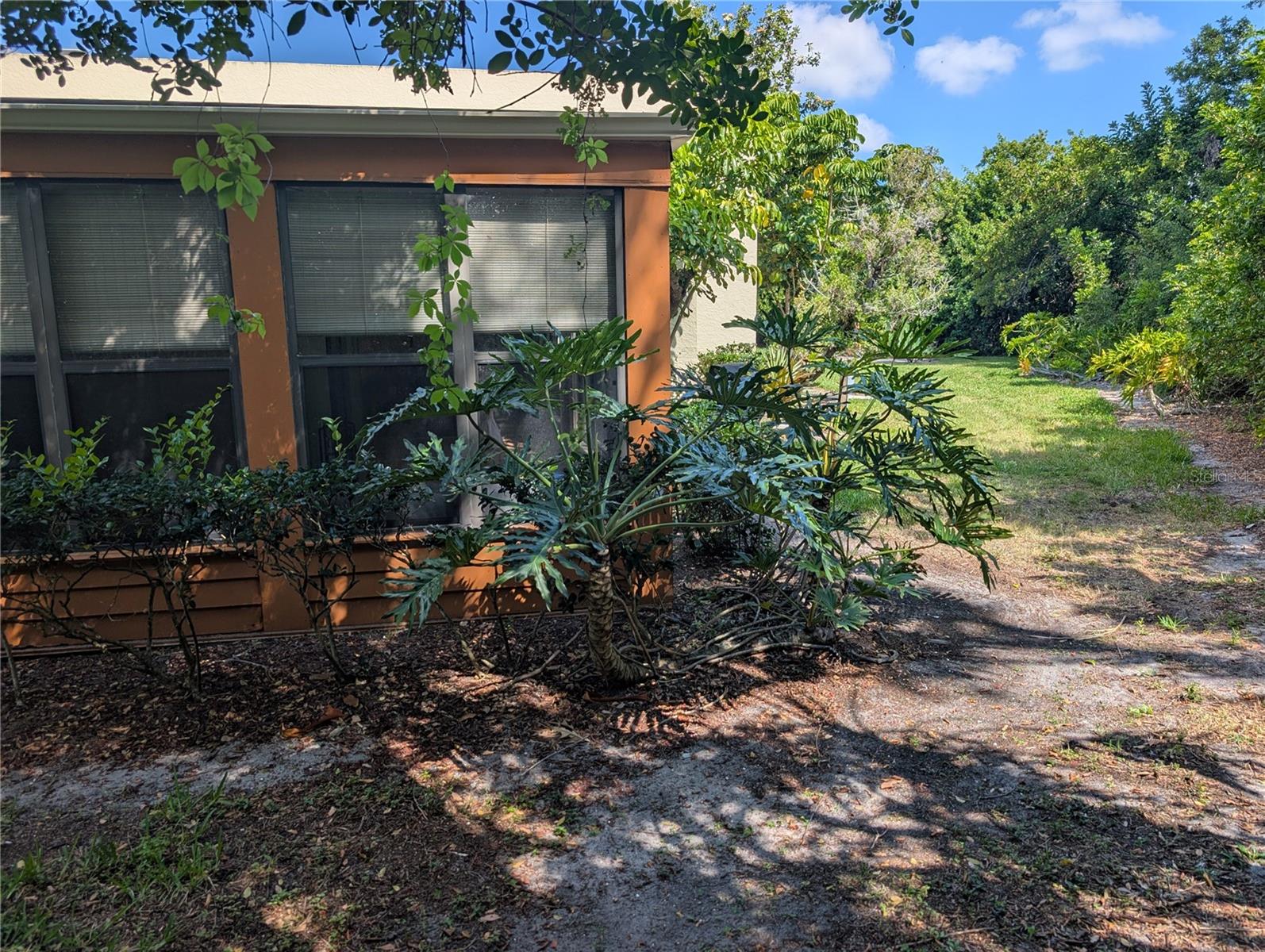 135 WILD PALM DR — photo 16