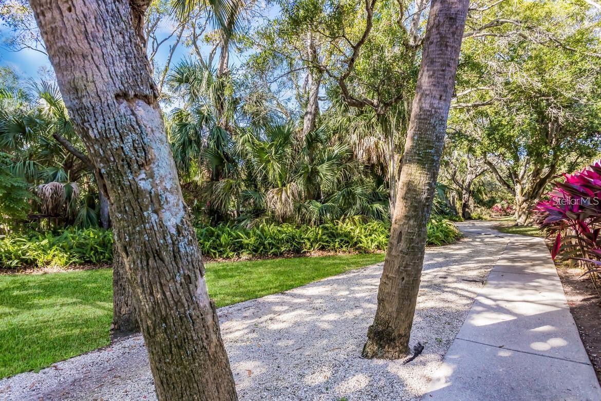 135 WILD PALM DR — photo 33