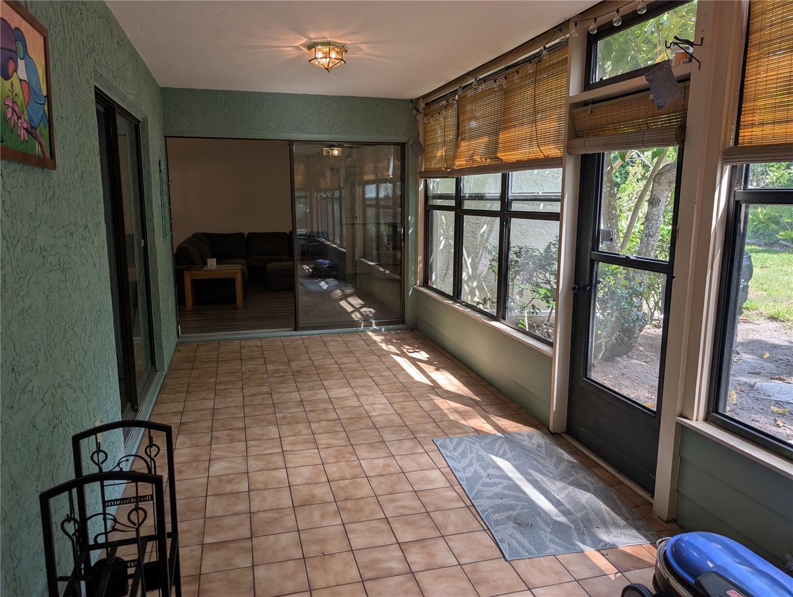 135 WILD PALM DR — photo 14