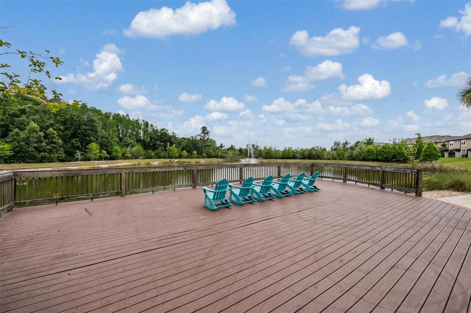 29947 SOUTHWELL LN — photo 31