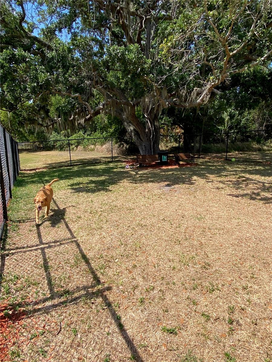 8330 FANTASIA PARK WAY — photo 56