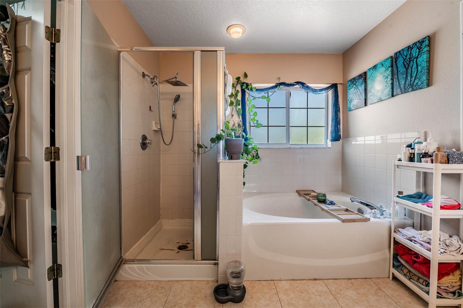 10945 SUBTLE TRAIL DR — photo 33