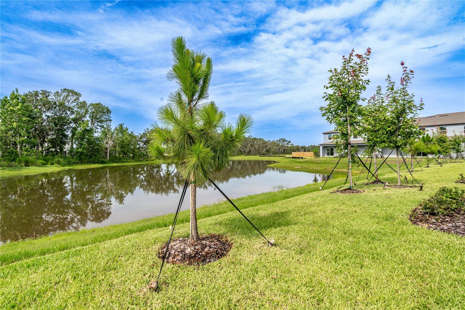 5095 CAPRI HARBOR DR — photo 21