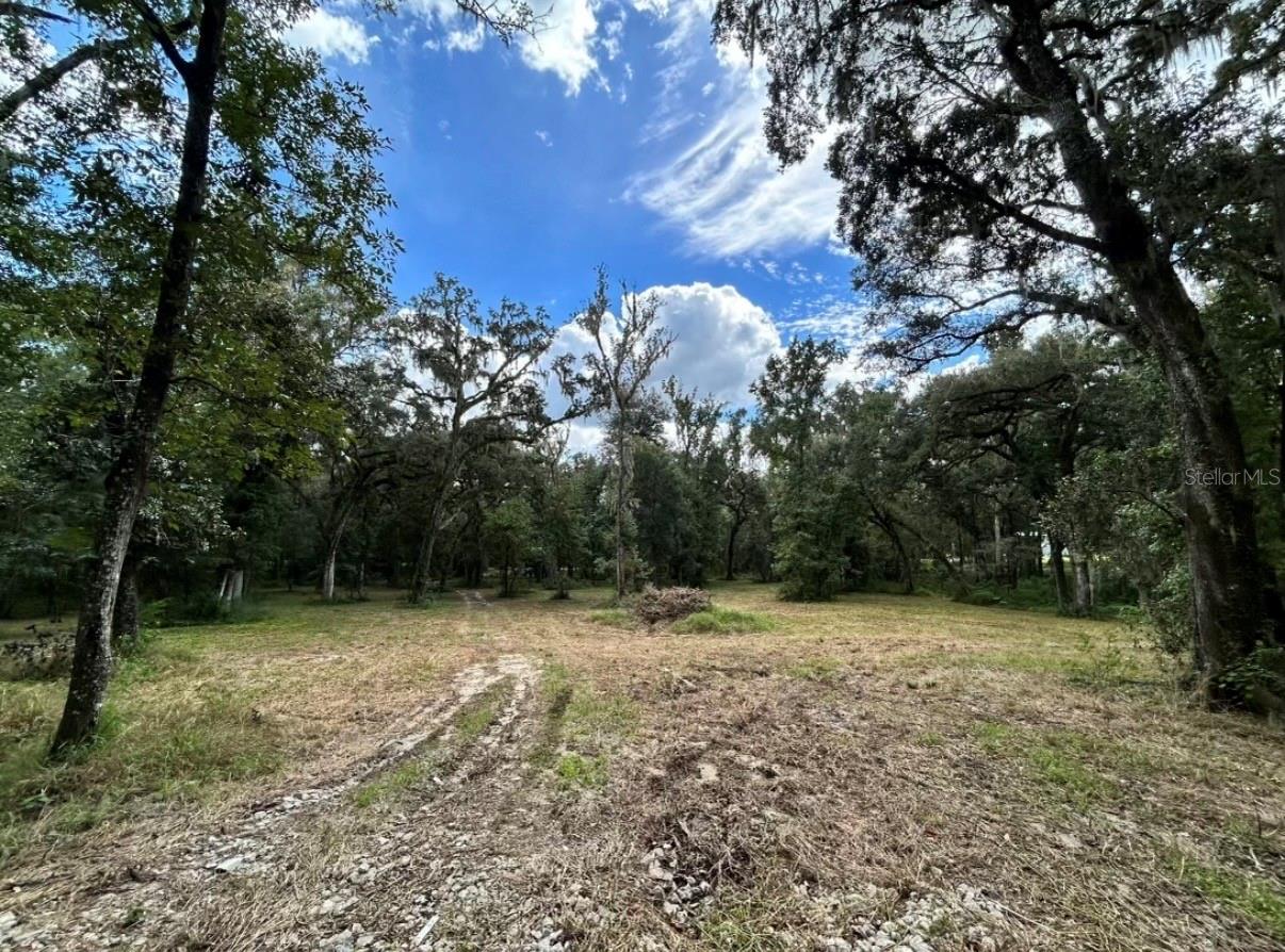 33234 CHIPCO RANCH RD — photo 13