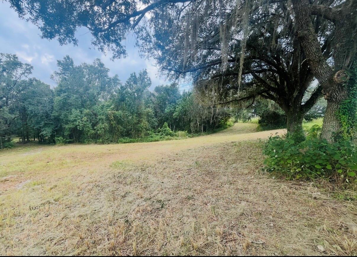 33234 CHIPCO RANCH RD — photo 16