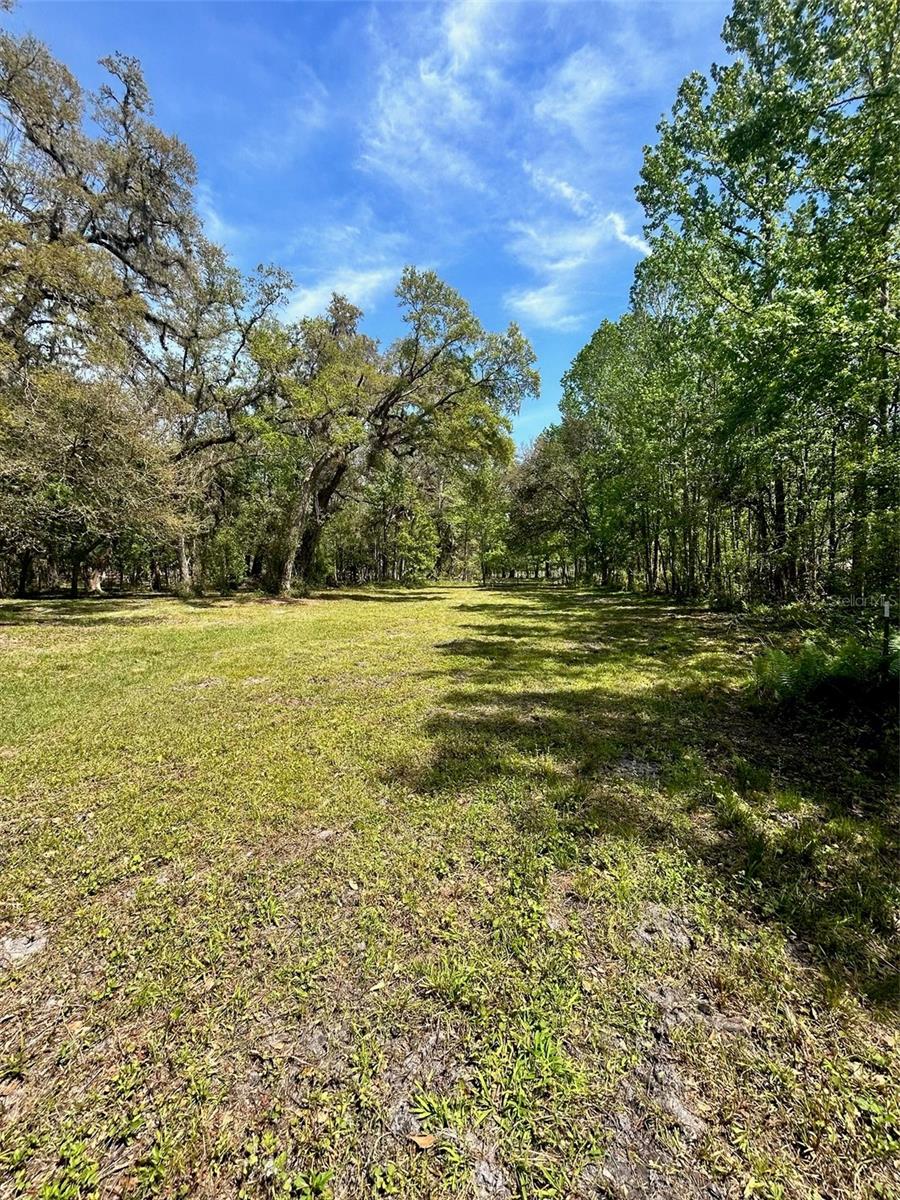 33234 CHIPCO RANCH RD — photo 9