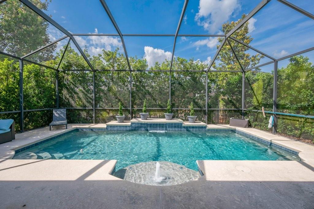 15409 STARLING CROSSING DR — photo 30