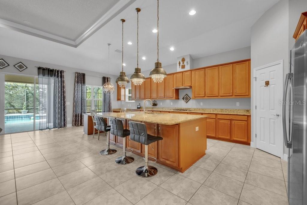 15409 STARLING CROSSING DR — photo 6