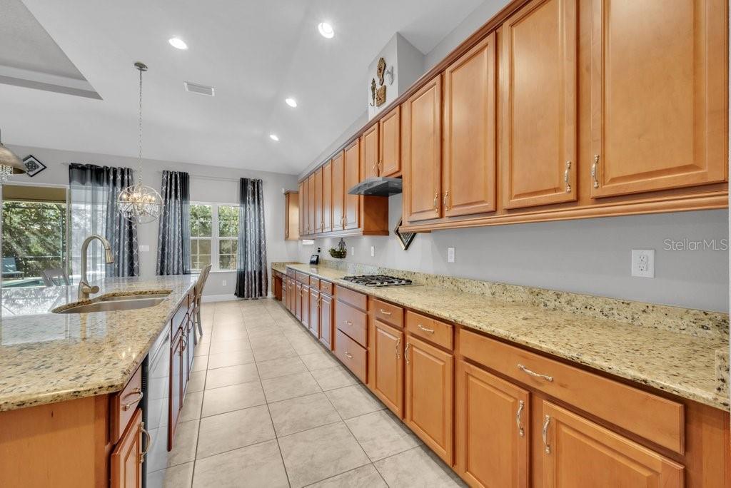 15409 STARLING CROSSING DR — photo 14