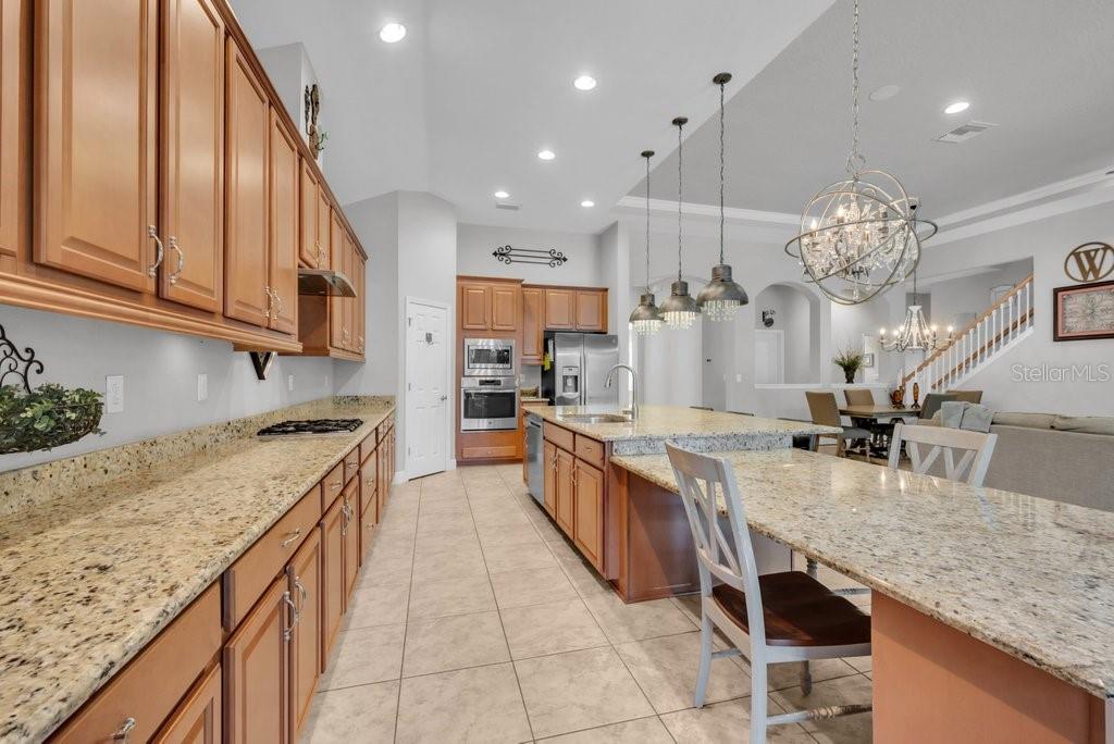 15409 STARLING CROSSING DR — photo 15