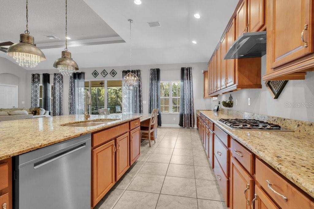 15409 STARLING CROSSING DR — photo 16