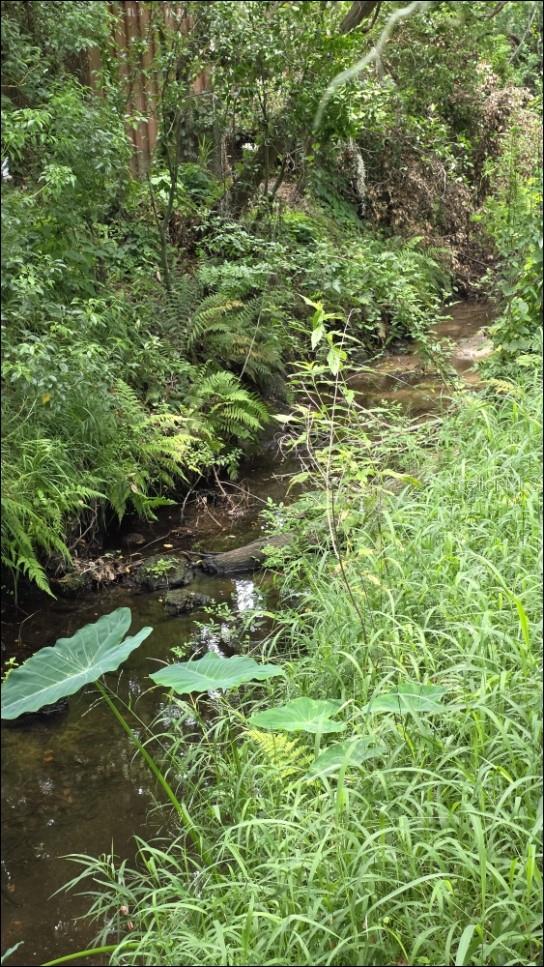 GALLAGHER RD — photo 2