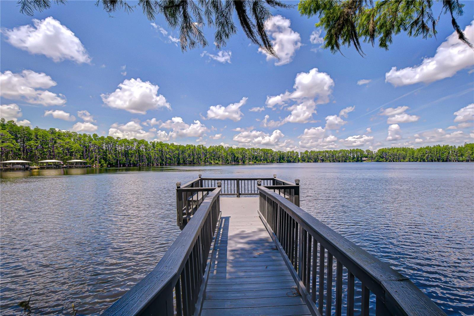 20915 LAKE VIENNA DR — photo 41