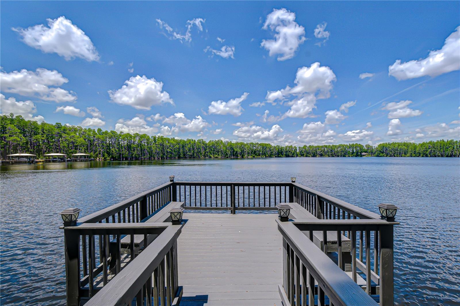 20915 LAKE VIENNA DR — photo 3