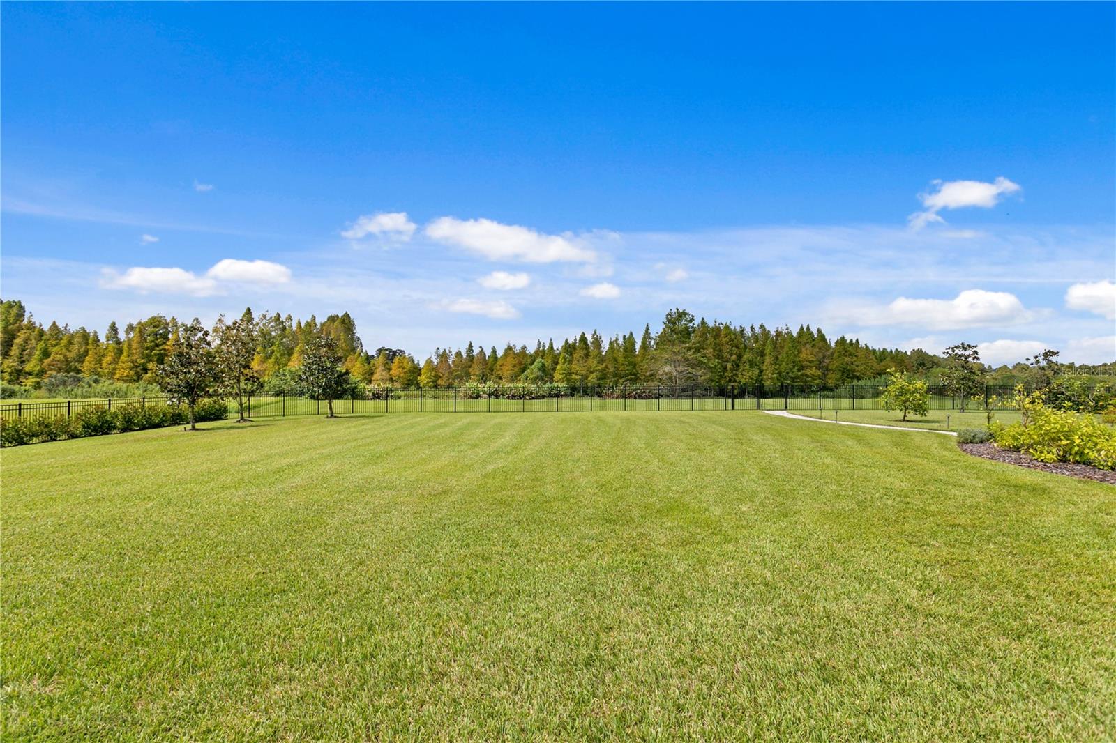 10521 BROADLAND PASS — photo 84