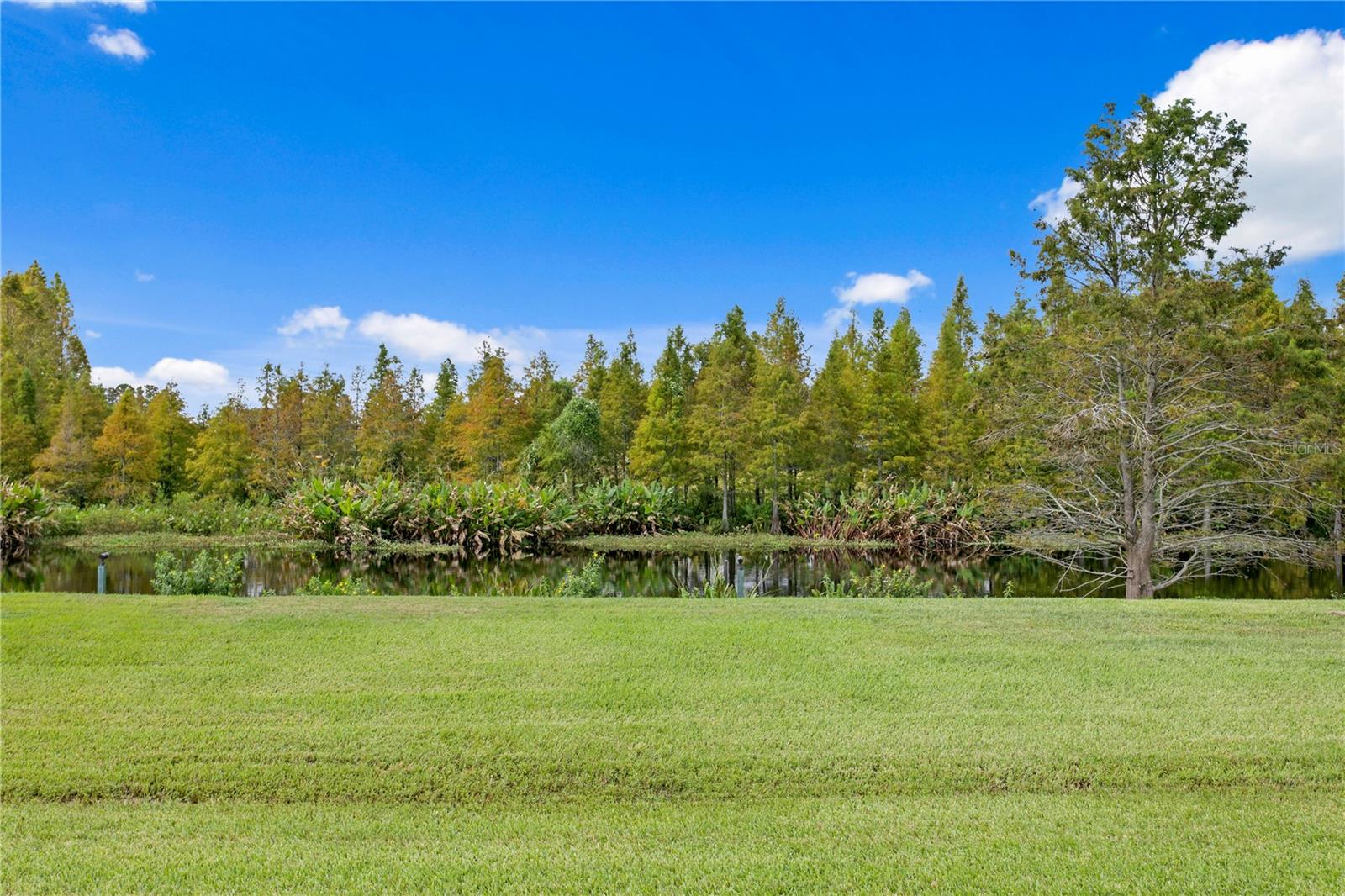 10521 BROADLAND PASS — photo 85