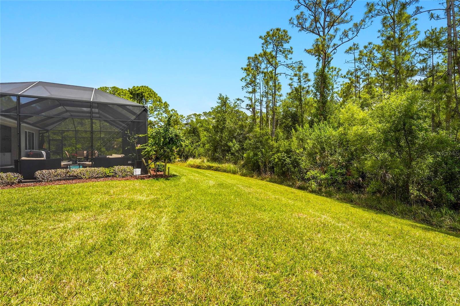 617 MISTIFLOWER CIR — photo 57