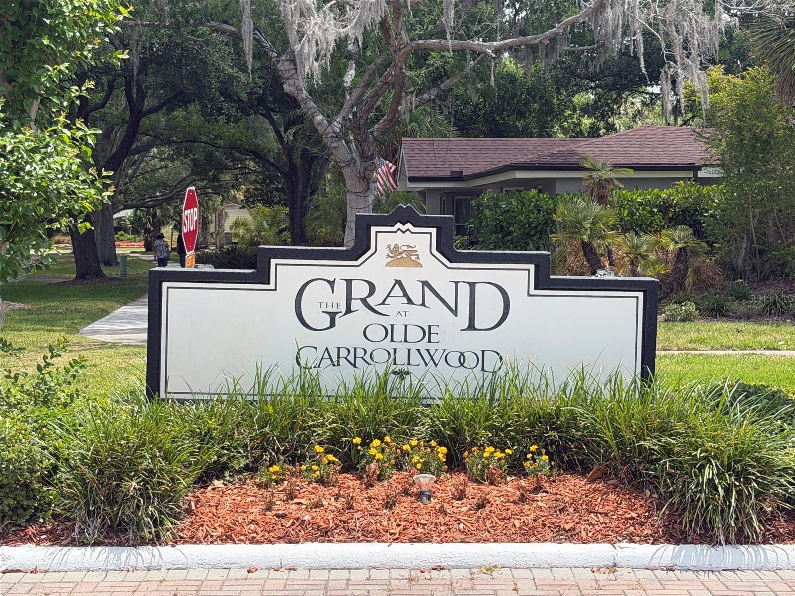 10335 CARROLLWOOD LN #116 — photo 8