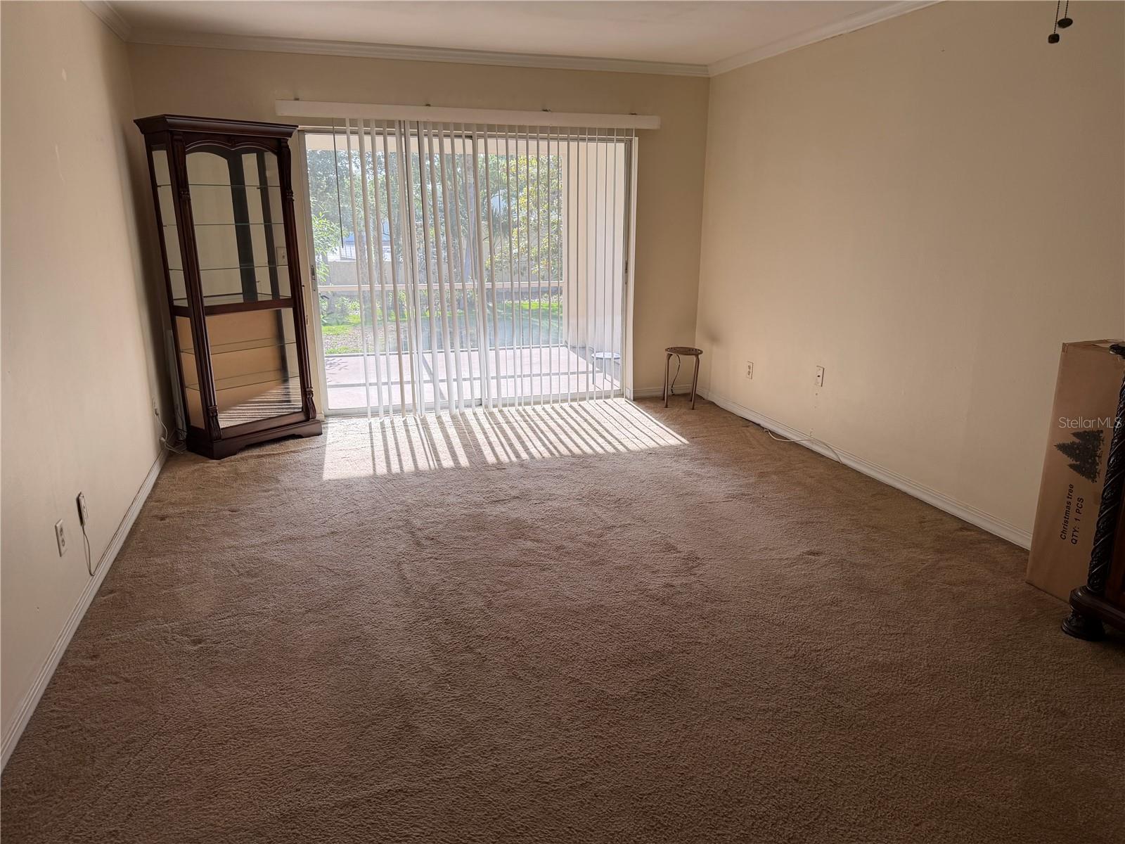 10335 CARROLLWOOD LN #116 — photo 4
