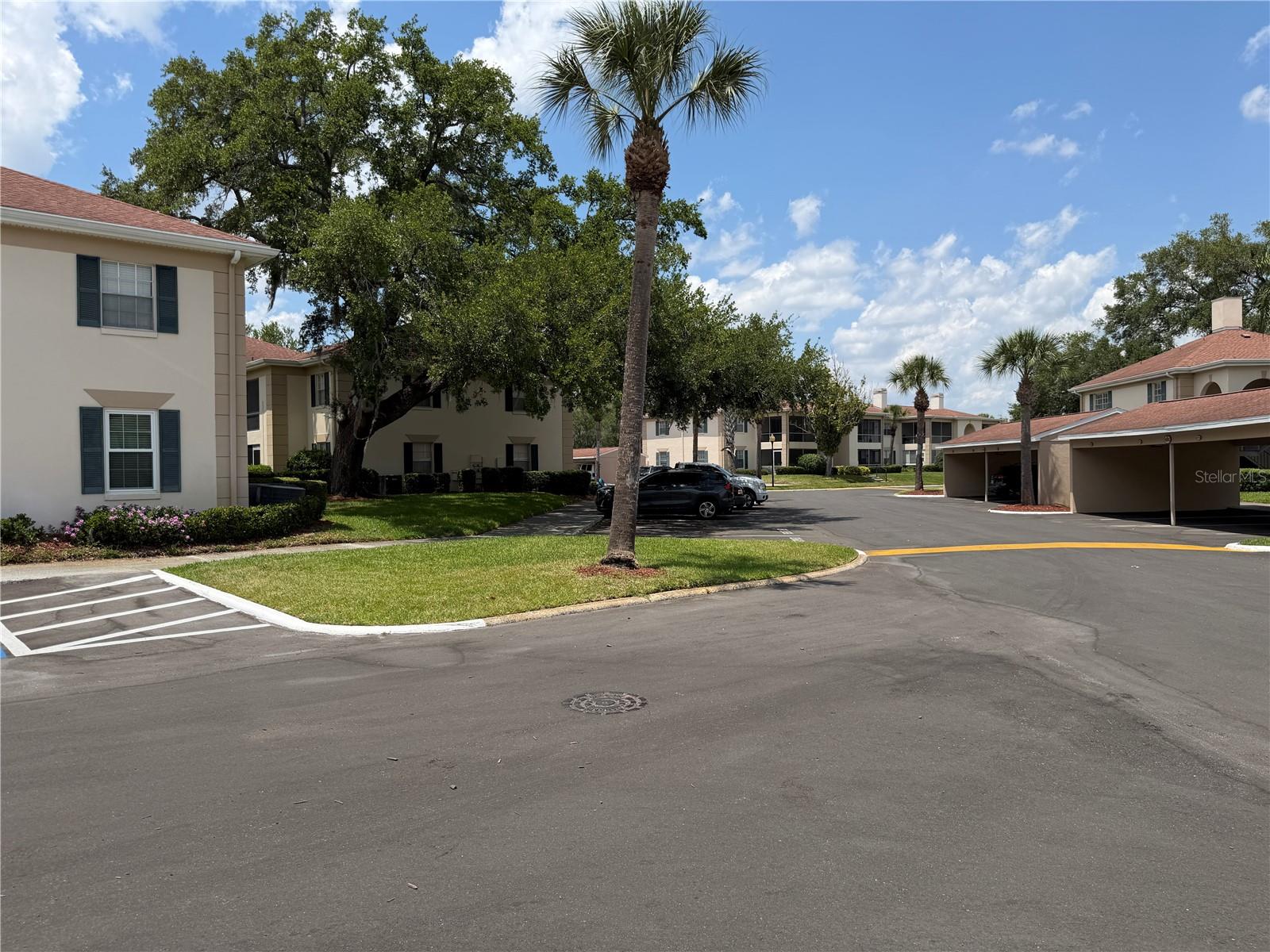 10335 CARROLLWOOD LN #116 — photo 27