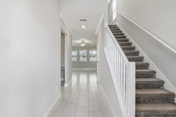 8598 CAMPUS WOODS WAY — photo 8