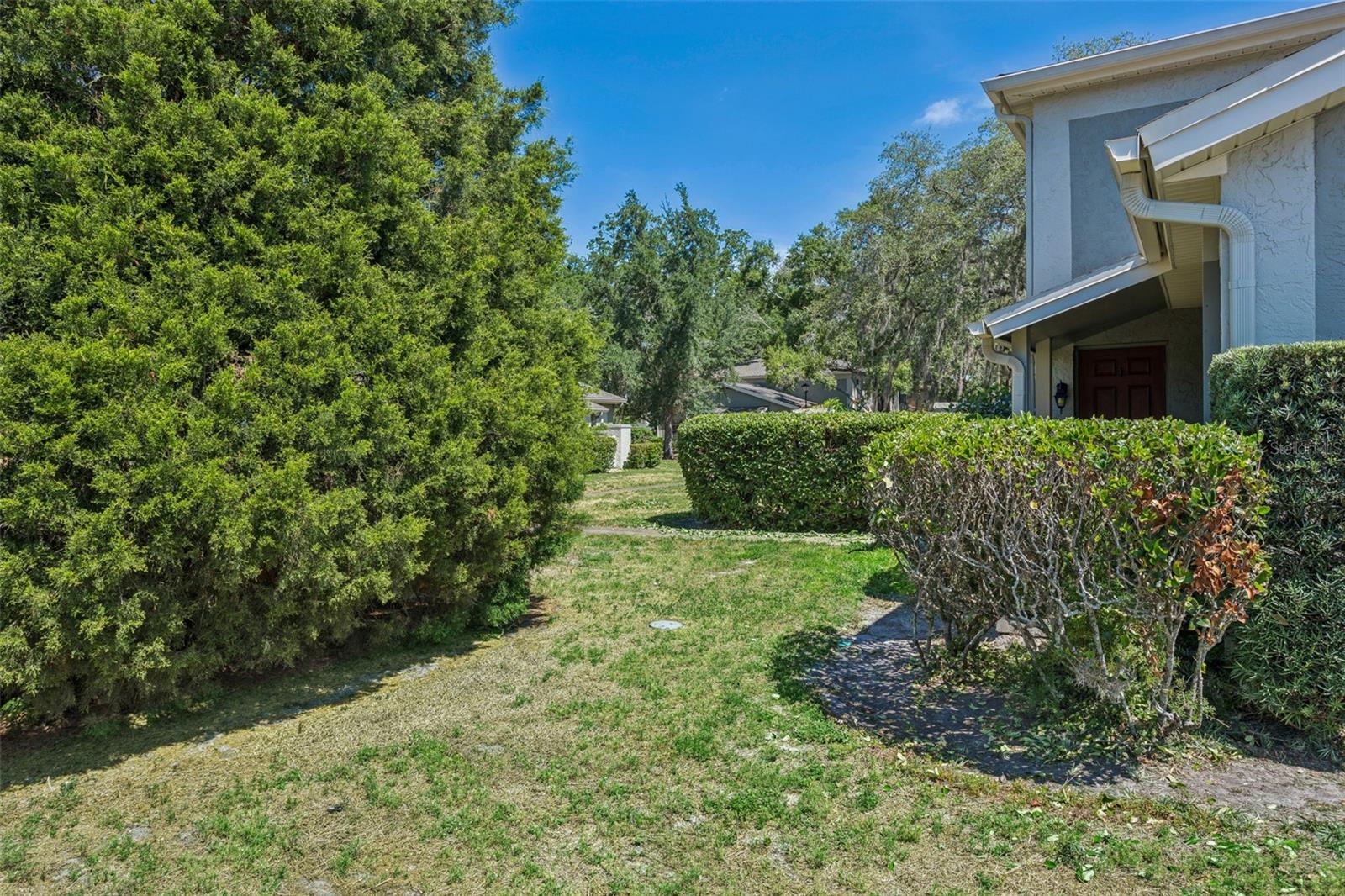 6341 TREETOP CIR #6341 — photo 21