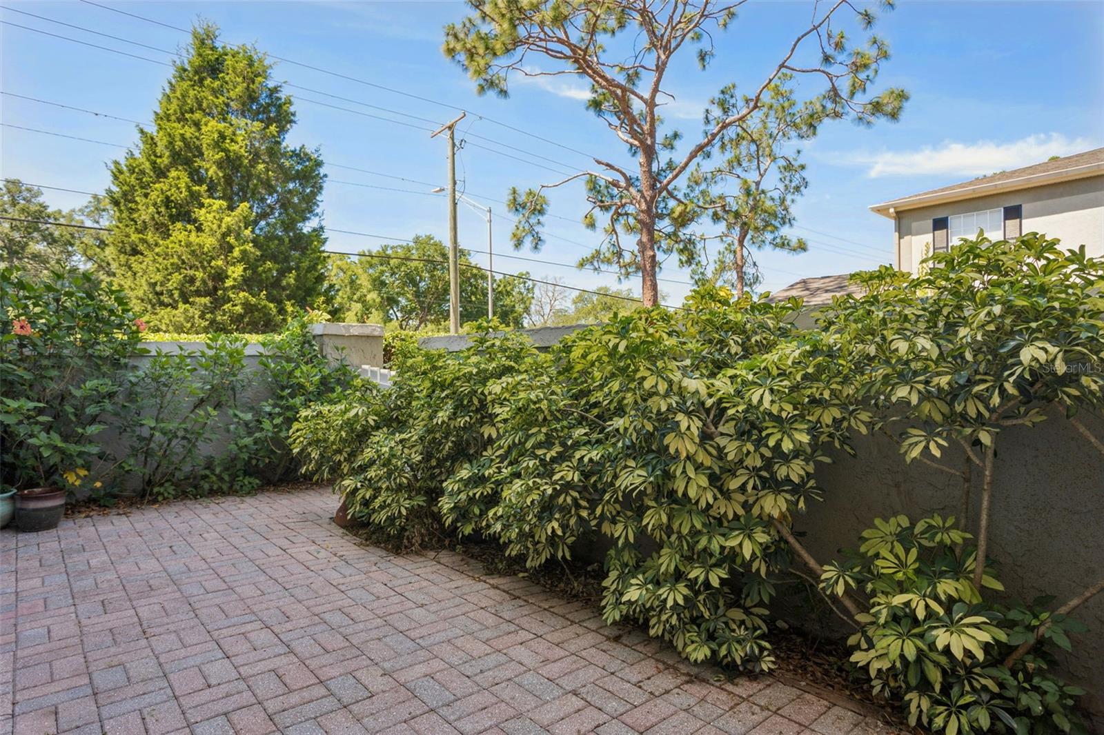 6341 TREETOP CIR #6341 — photo 19