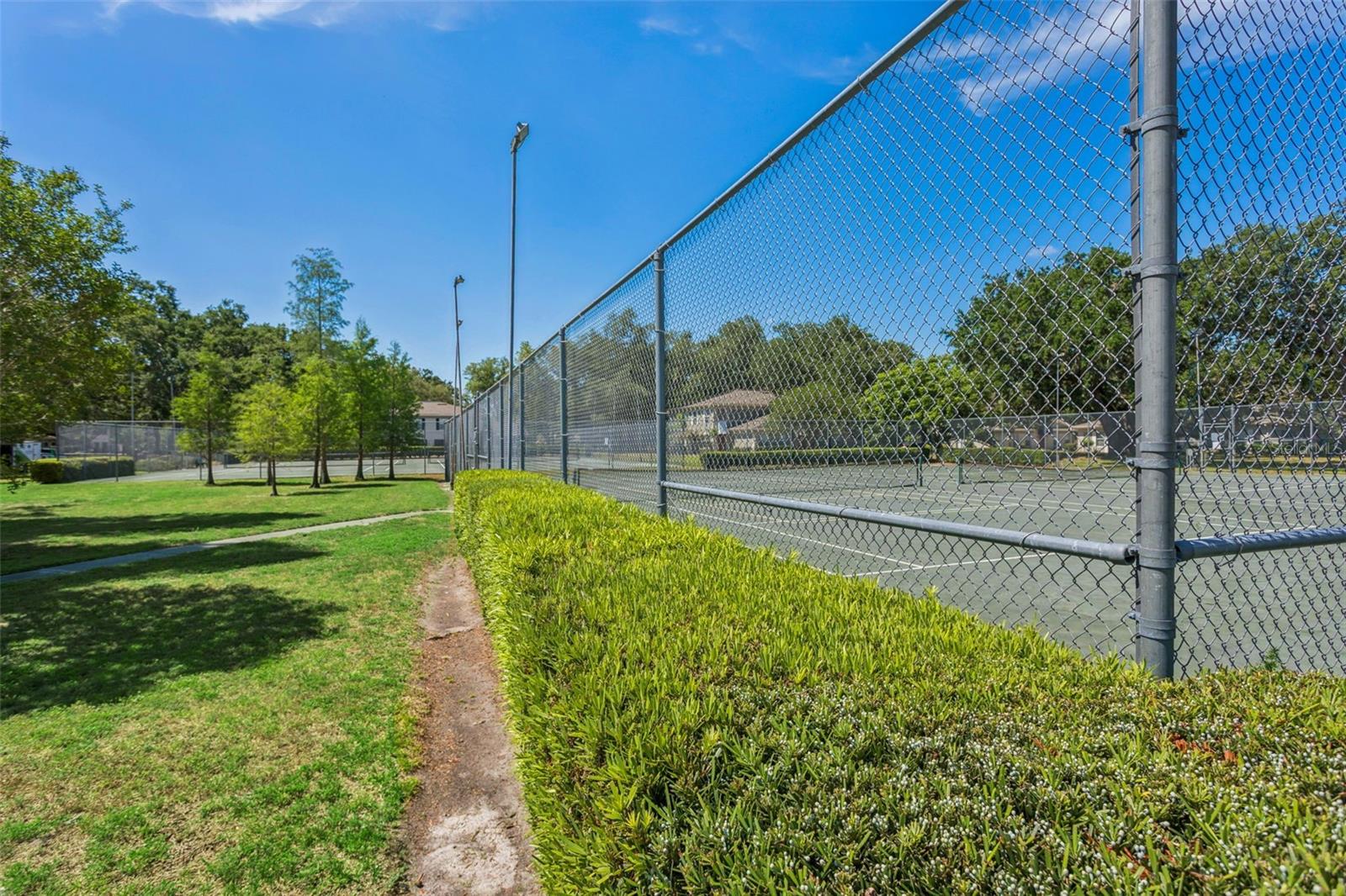 6341 TREETOP CIR #6341 — photo 24