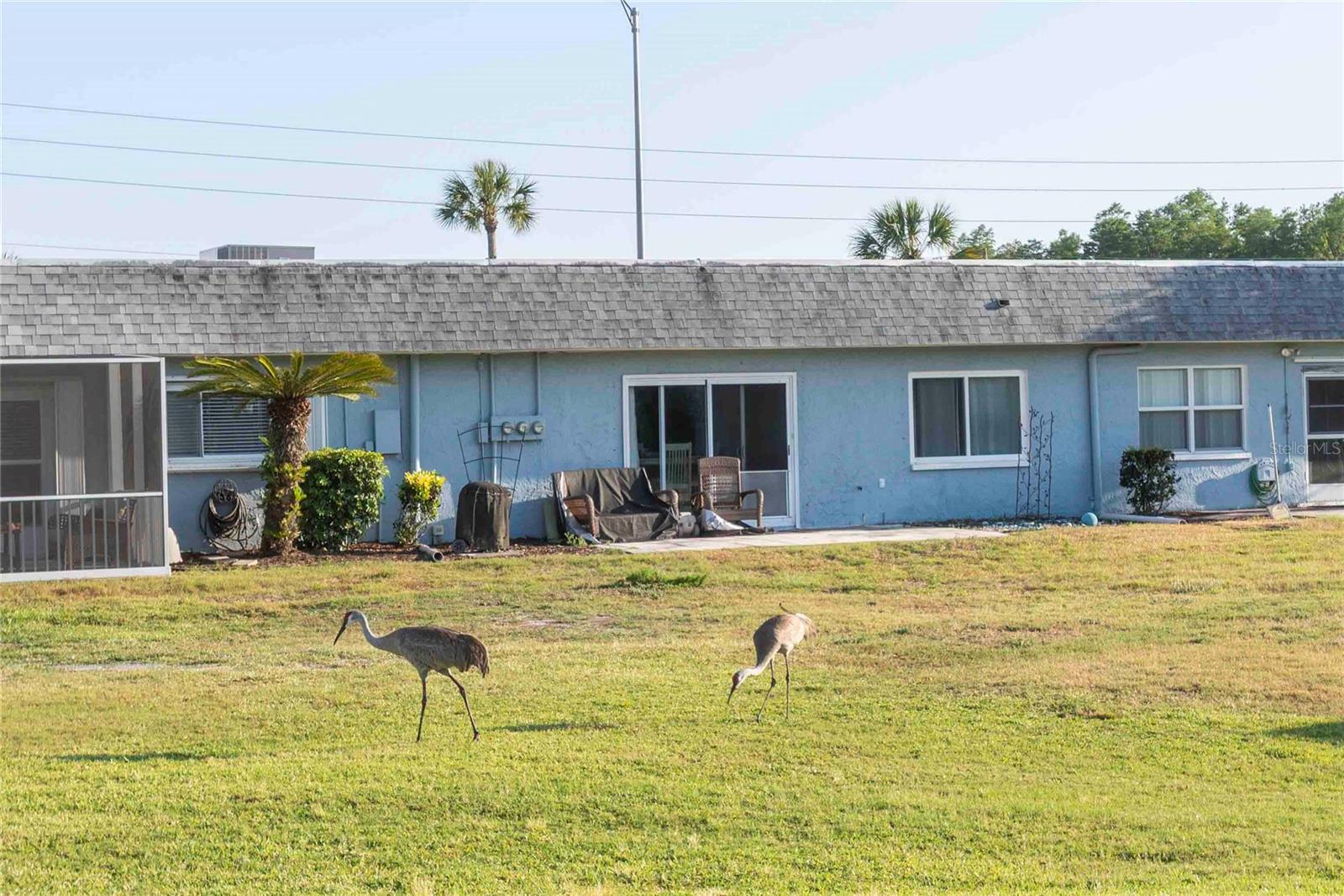 9639 GREENSKEEPER DR #9639 — photo 35