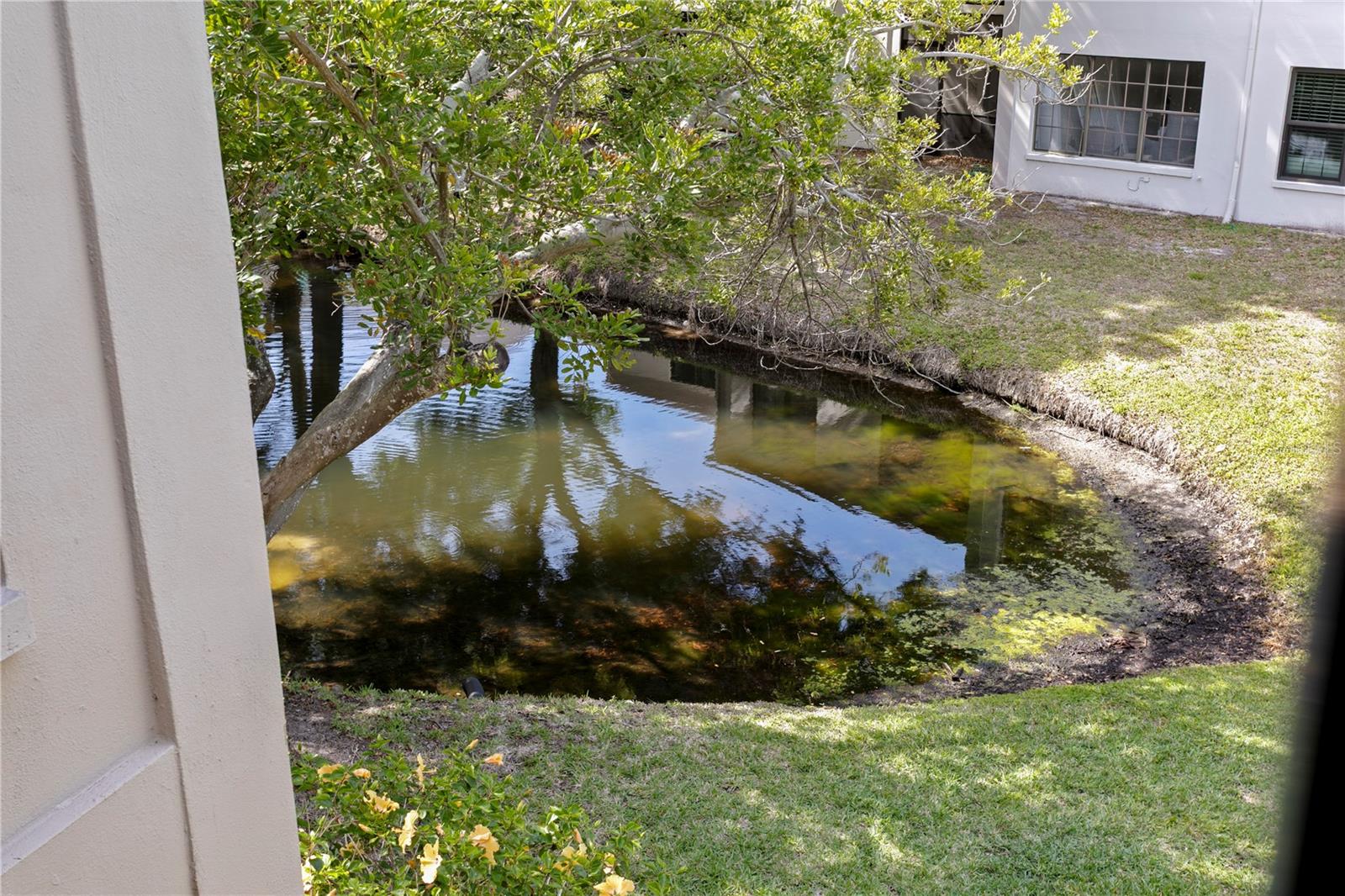 2453 KINGFISHER LN #G202 — photo 31