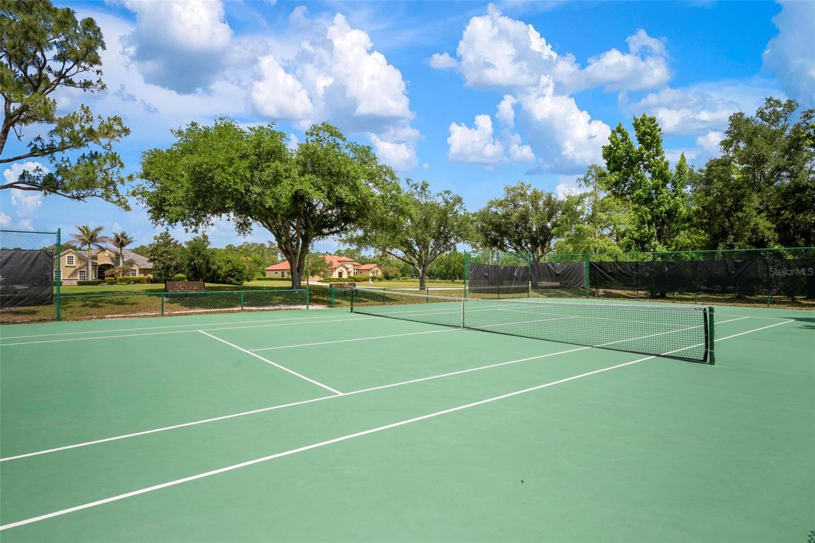 22610 NIGHT HERON WAY — photo 53