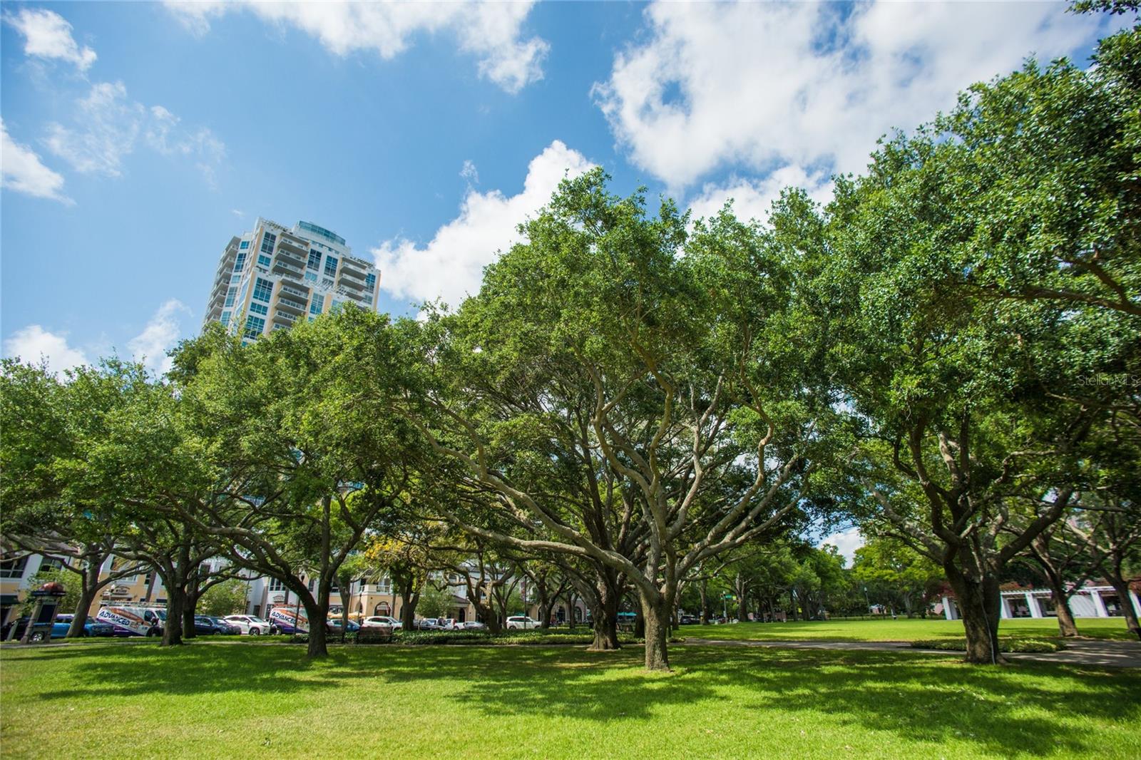 400 BEACH DR NE #2605 — photo 50