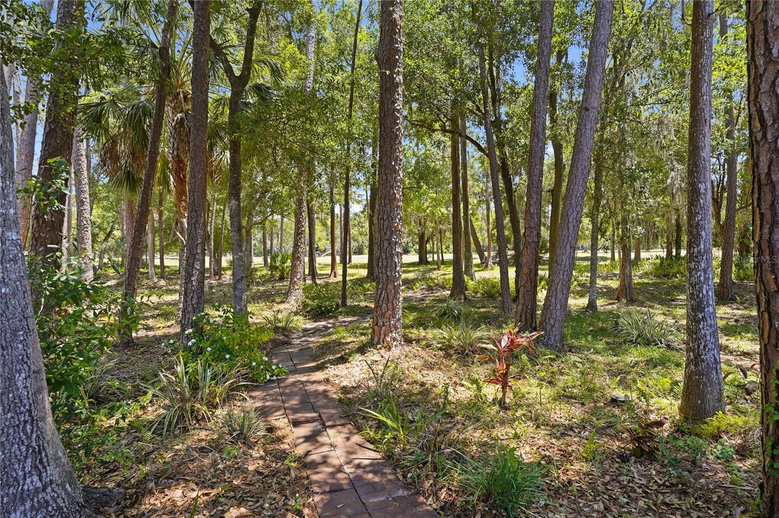 3071 BOLT DR — photo 43