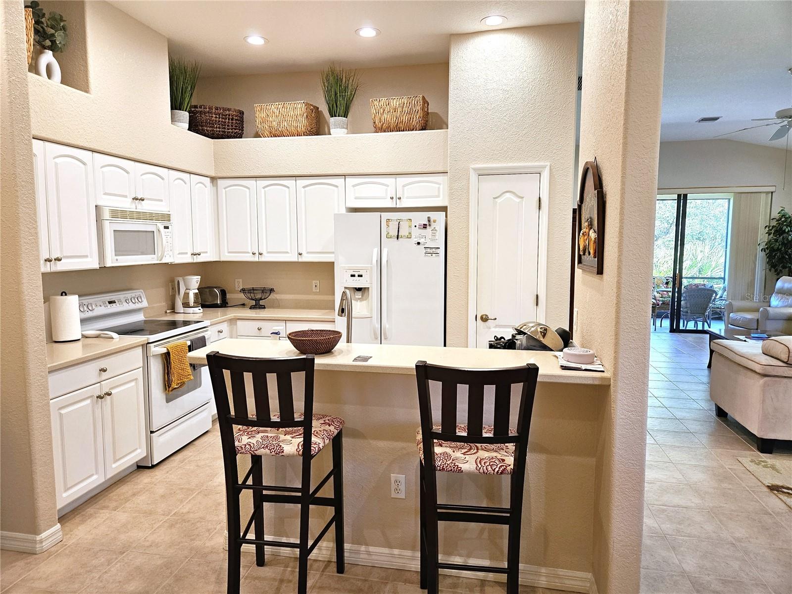 4528 CANCELLO GRANDE AVE — photo 25