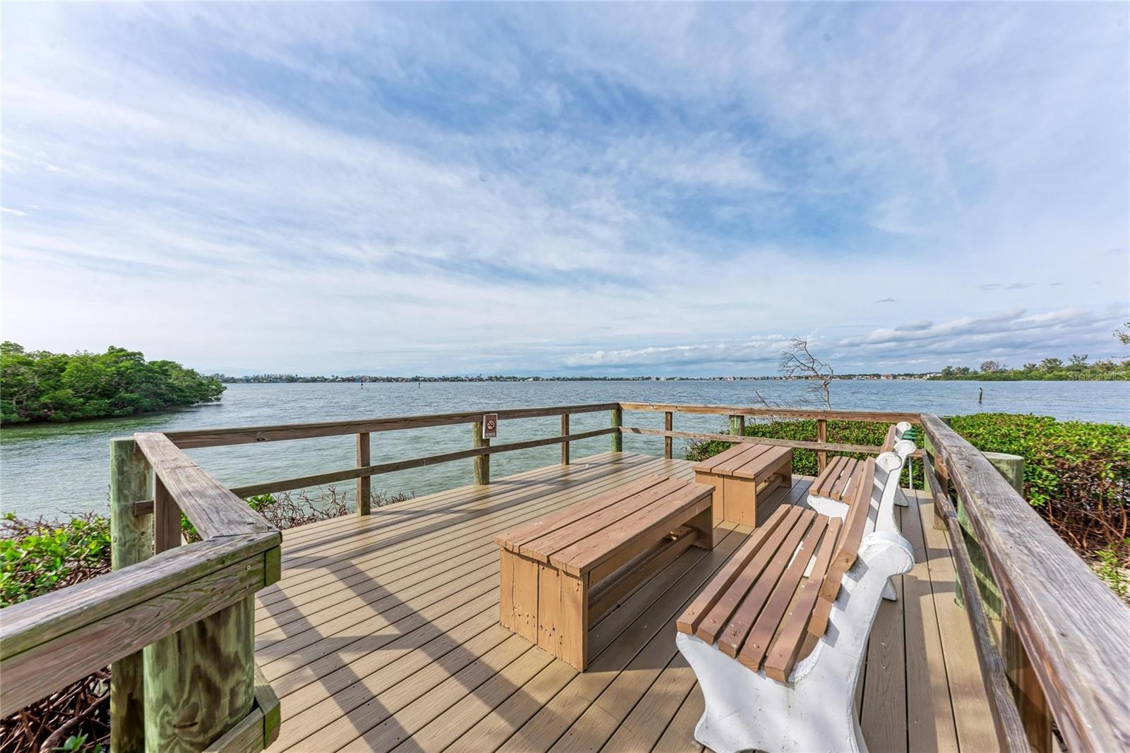 1709 CLOWER CREEK DR #205 — photo 43