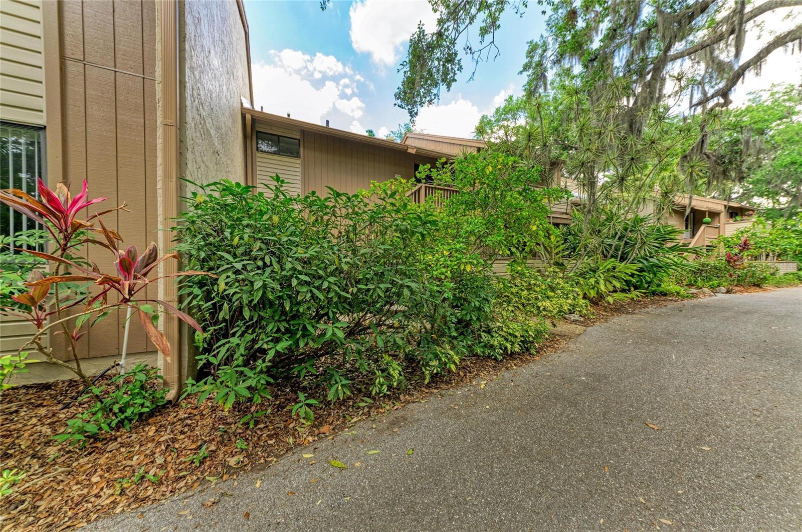 1709 CLOWER CREEK DR #205 — photo 38