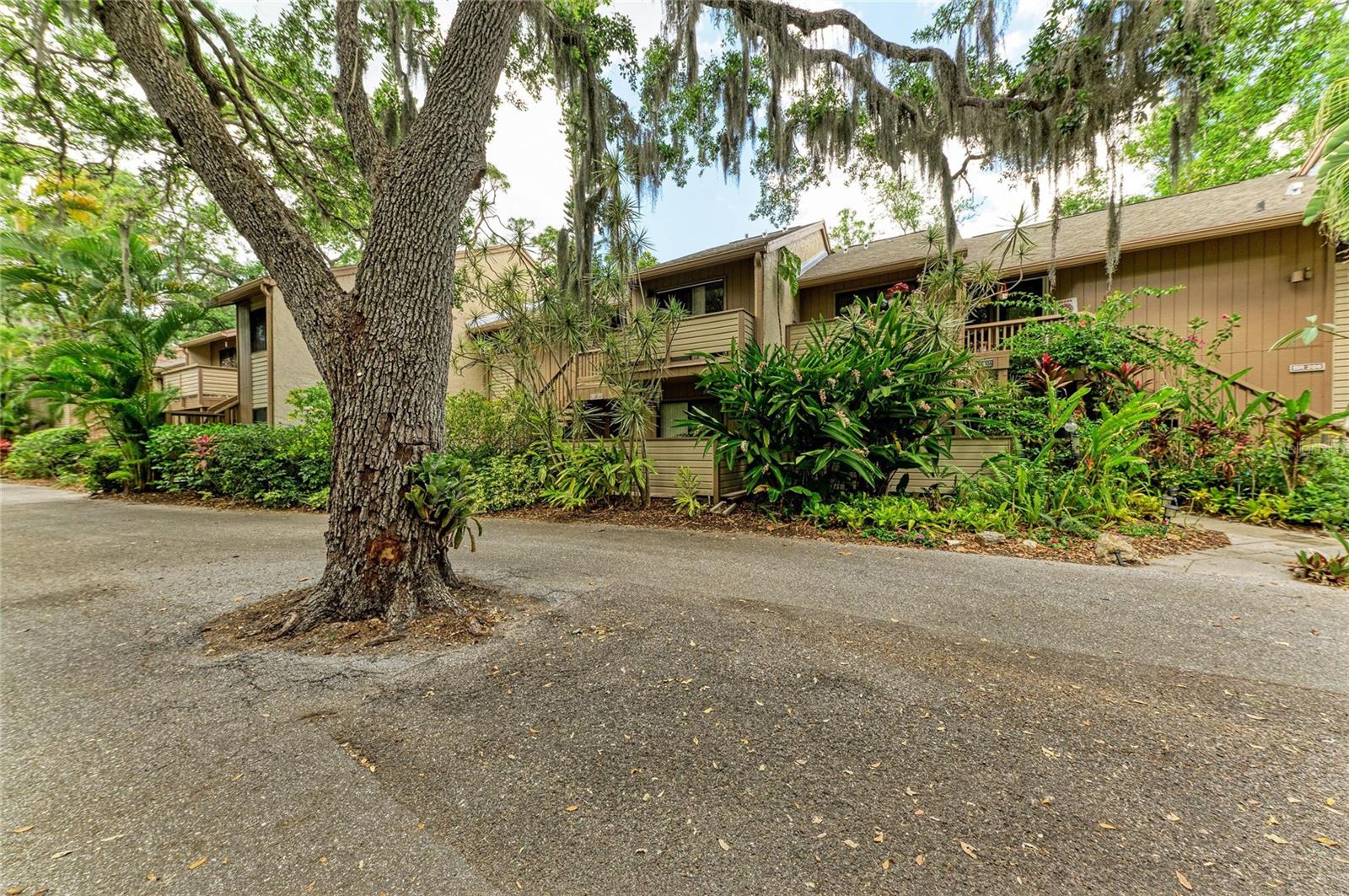 1709 CLOWER CREEK DR #205 — photo 39