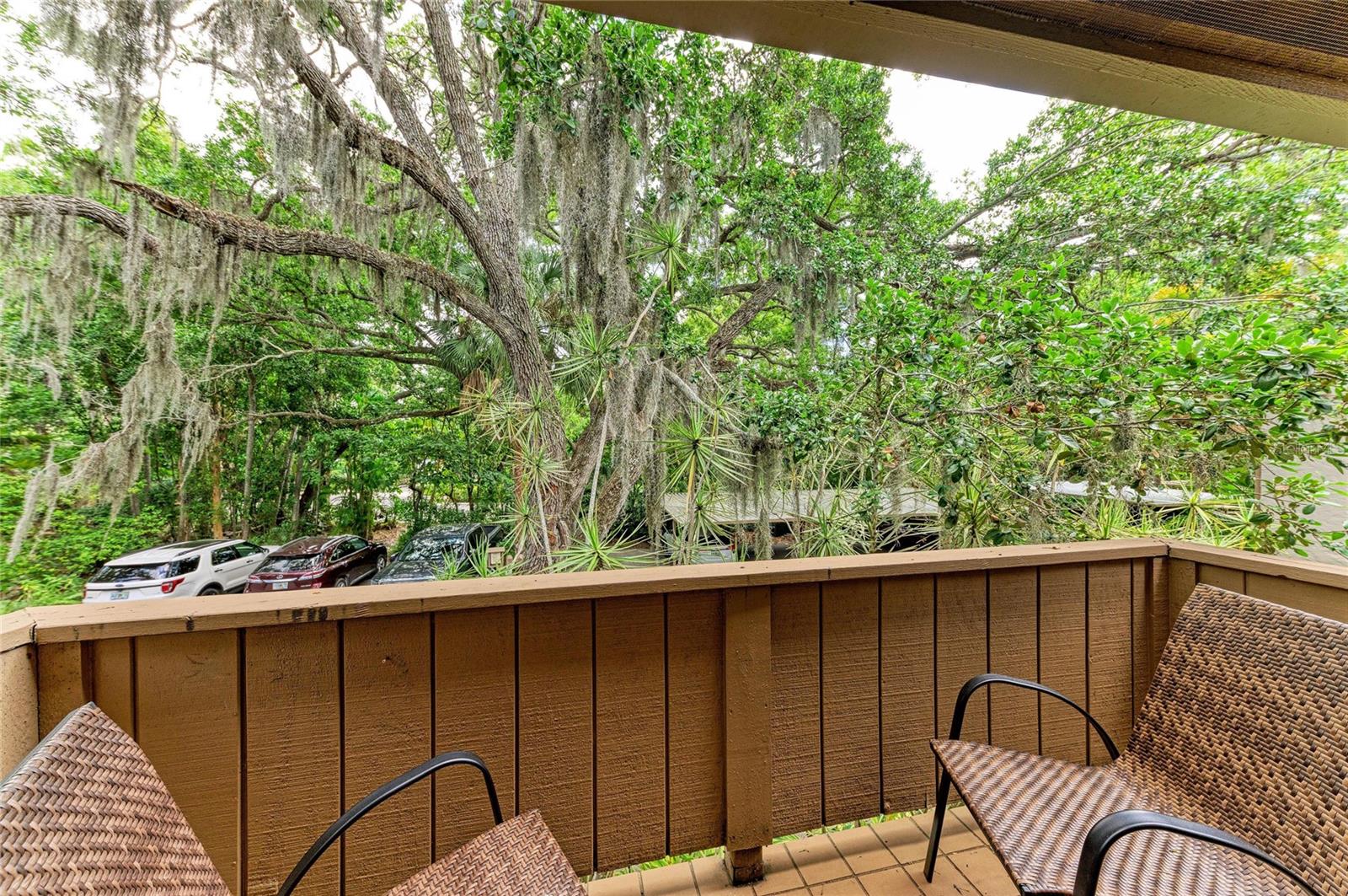 1709 CLOWER CREEK DR #205 — photo 36