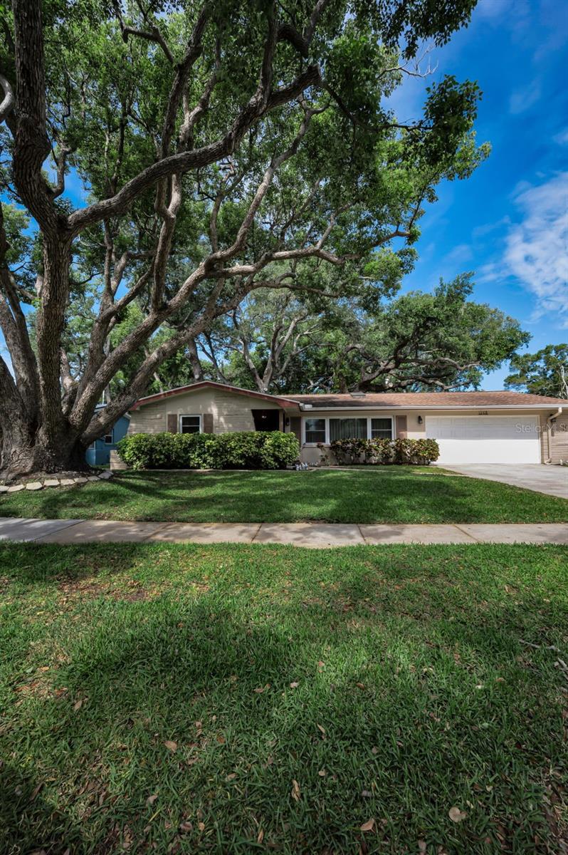 1368 WILLIAMS DR — photo 9