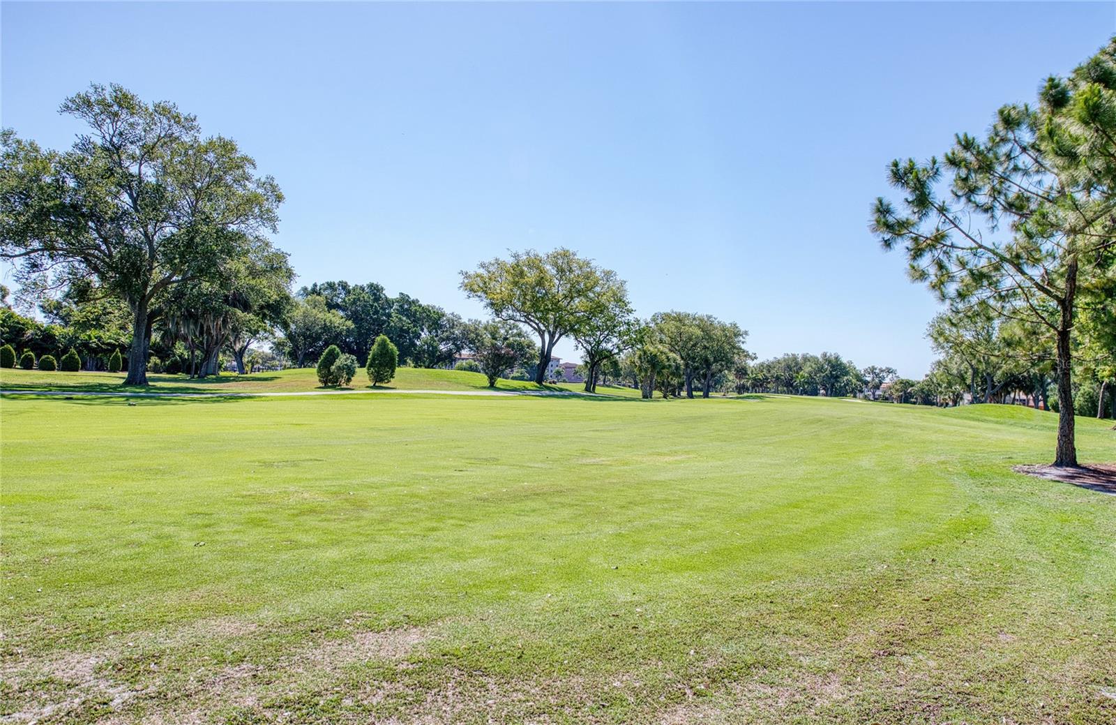 6305 PELICAN CREEK XING #D — photo 25