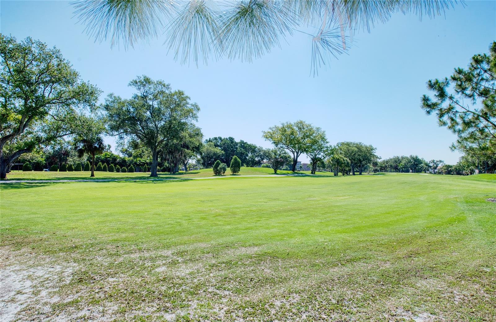 6305 PELICAN CREEK XING #D — photo 24