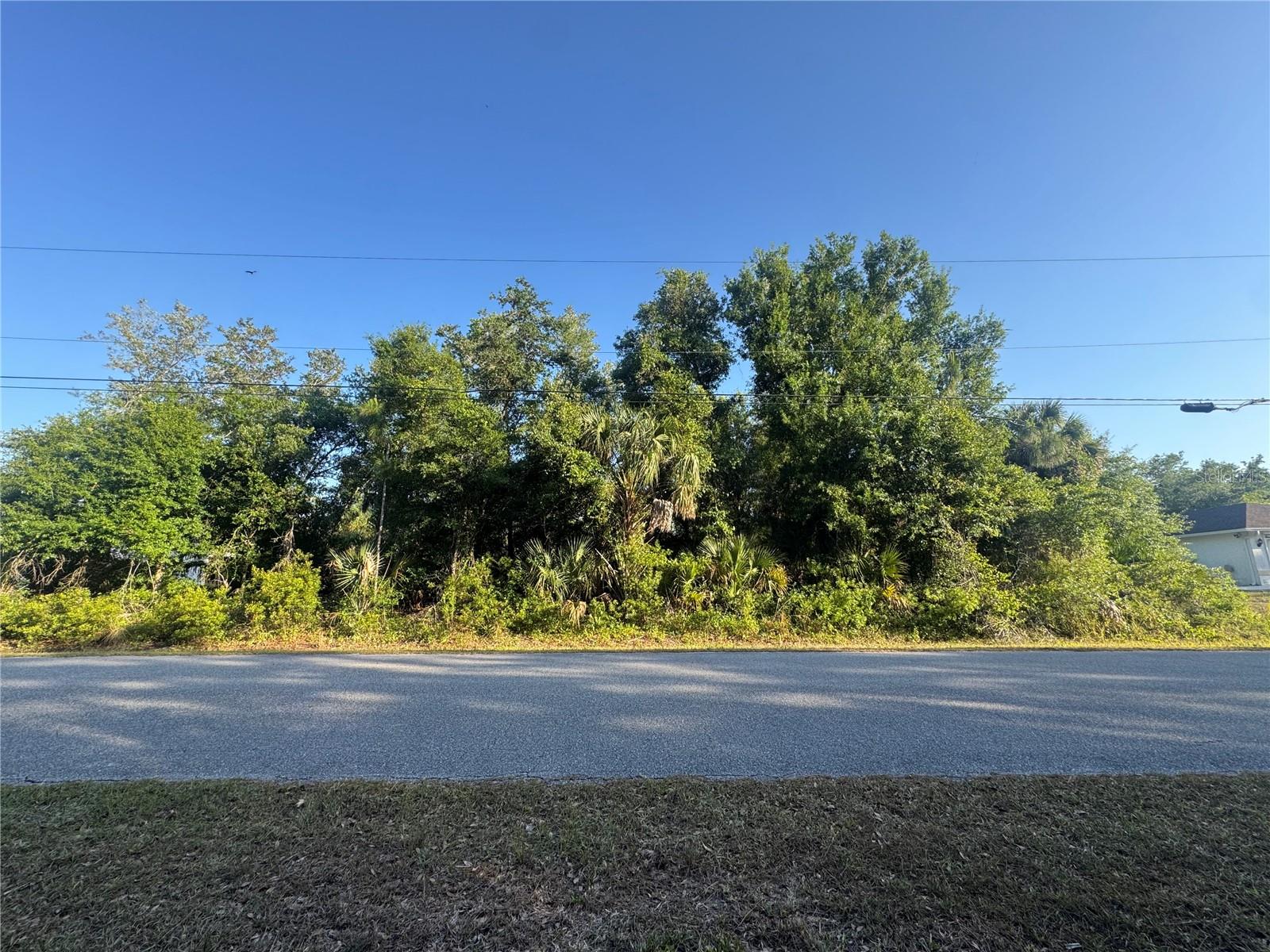PETAL RD — photo 2