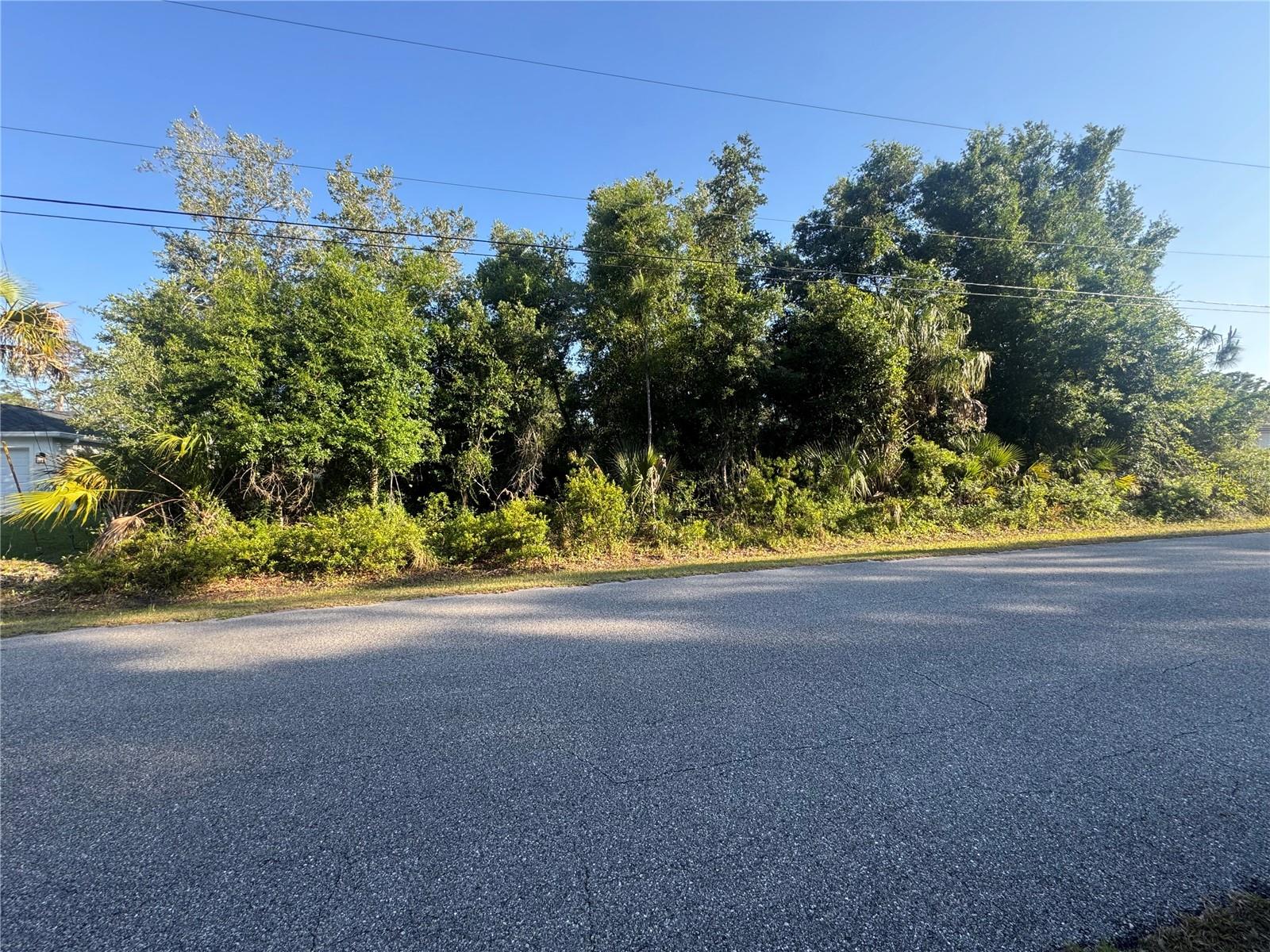 PETAL RD — photo 6